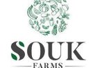 Technical Field Assistant Job Opportunity at SOUK Farms