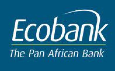 Relationship Officer, Consumer Banking Job Vacancy at Ecobank