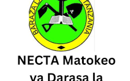 Matokeo ya Darasa la Saba 2025