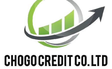 10 Credit officers at Chogo Credit Company Limited