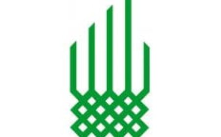 Project Officer at Aga Khan Foundation