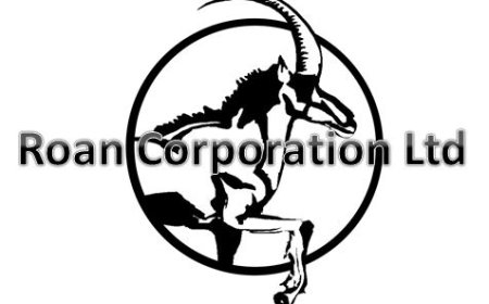 Part Time Secretary Job Vacancy at Roan Corporation LTD