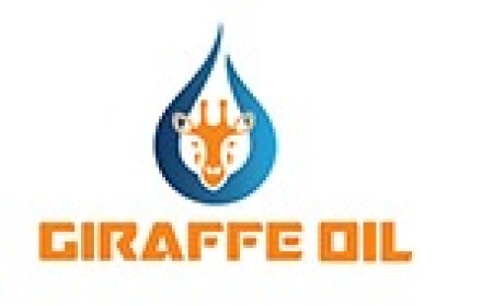 Assistant Accountant Job Vacancy at Giraffe Oil Company Limited