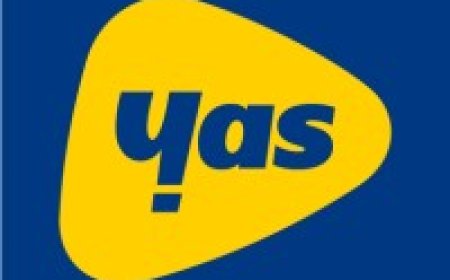 Customer Relationship & Operations Officer at Mixx by Yas Tanzania