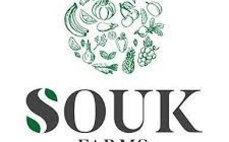 Technical Field Assistant Job Opportunity at SOUK Farms
