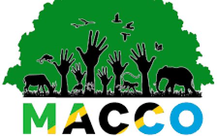 Finance Manager Job Opportunity at MACCO