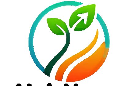 Finance Officer Job Opportunity at Masika Ventures