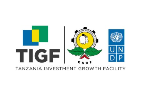 Program Manager Job Vacancy at Tanzania Investment Growth Facility (TIGF) 