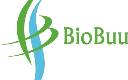 Accountant Job Vacancy at BioBuu