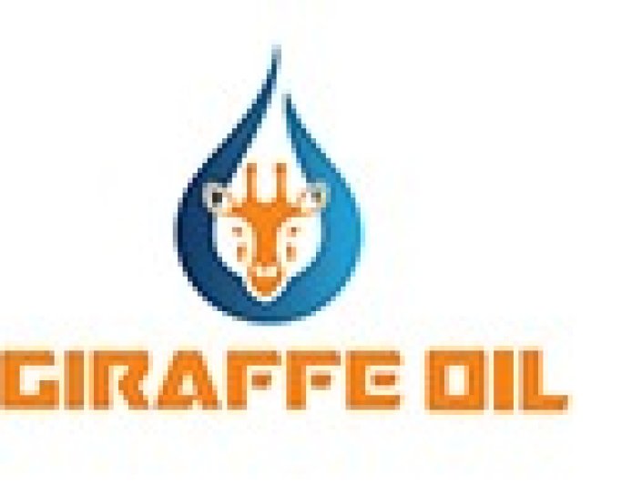 Assistant Accountant Job Vacancy at Giraffe Oil Company Limited