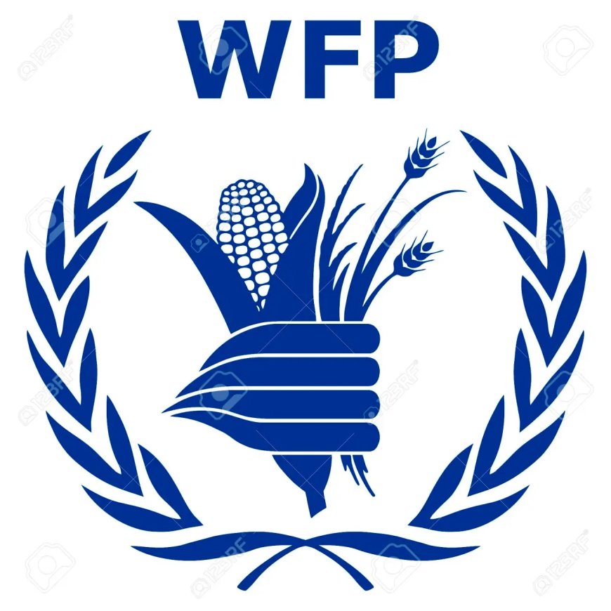HR Assistant Job Vacancy at WFP
