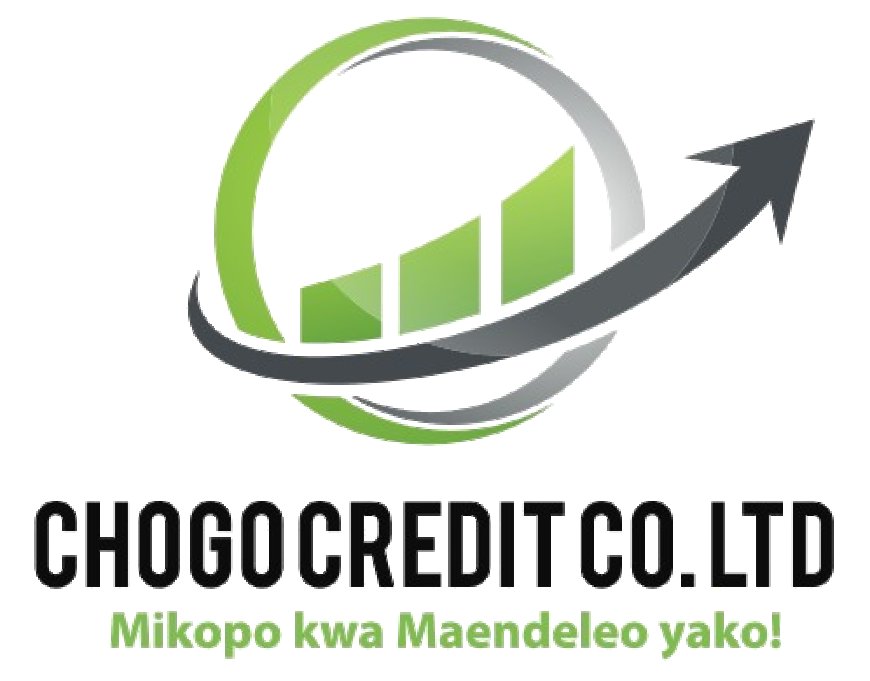 10 Credit officers at Chogo Credit Company Limited