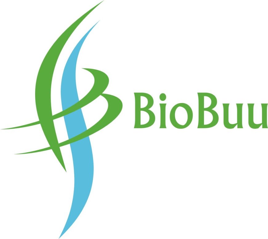 Market Study Intern Job Vacancy at BioBuu