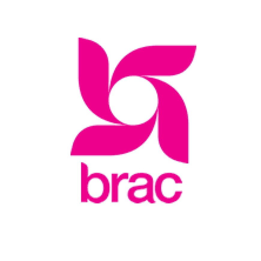Community Organizer Interns Job Vacancy at BRAC Tanzania