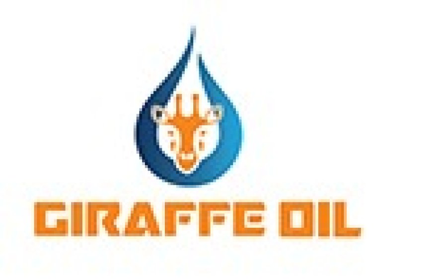 Assistant Accountant Job Vacancy at Giraffe Oil Company Limited