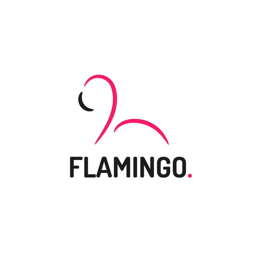 Accountant Assistants – 3 Positions at Flamingo Supermarket Limited