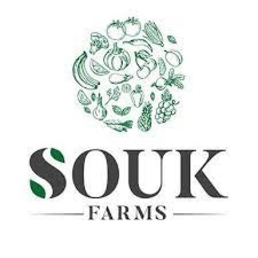 Technical Field Assistant Job Opportunity at SOUK Farms