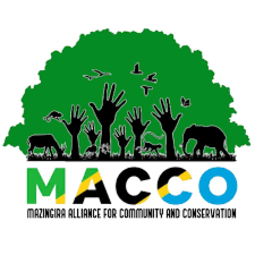 Finance Manager Job Opportunity at MACCO
