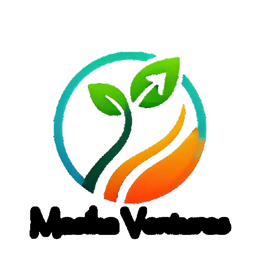 Finance Officer Job Opportunity at Masika Ventures