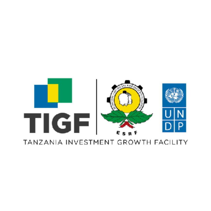Program Manager Job Vacancy at Tanzania Investment Growth Facility (TIGF) 