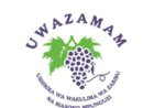 Project Officer Job Opportunity at UWAZAMAM