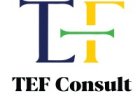 Customer Experience Specialist Job Opportunity at TEF Consult
