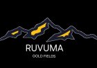 Chief Executive Officer (CEO) Job Opportunities at Ruvuma Gold Fields