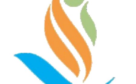 Program And Operations Professionals at Doris Mollel Foundation (DMF)