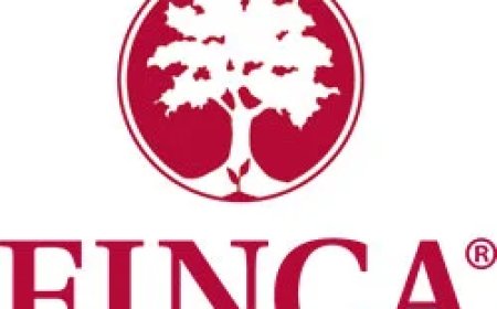 Database Administrator Job Vacancy at FINCA