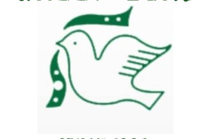 Accountant Job Vacancy at Green Bird College