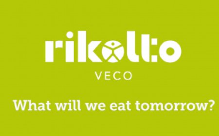 Consultancy Terms of Reference at Rikolto