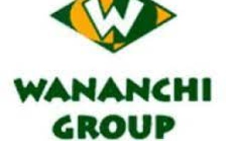 Service Delivery Rapid Response Technician Job Vacancy at Wananchi Group