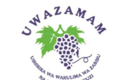 Project Officer Job Opportunity at UWAZAMAM