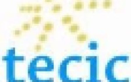 Marketing Officer Job Opportunity at TECIC Tanzania Limited