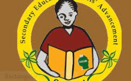 Chemistry and Biology Teacher Job Opportunity at SEGA Girls’ Secondary School 