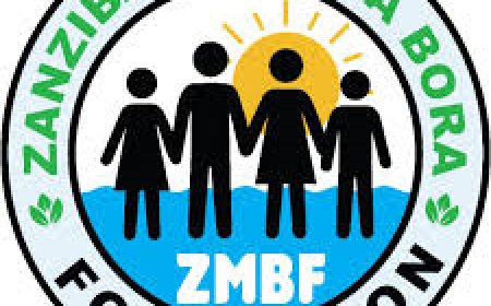 Socio – Enterprise Manager Job Opportunity at Zanzibar Maisha Bora Foundation (ZMBF)