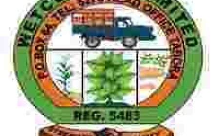 8 Job Opportunities at WETCU 2018 LTD 