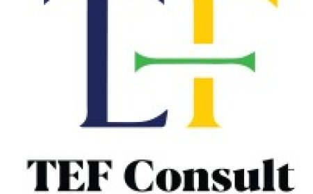 Customer Experience Specialist Job Opportunity at TEF Consult