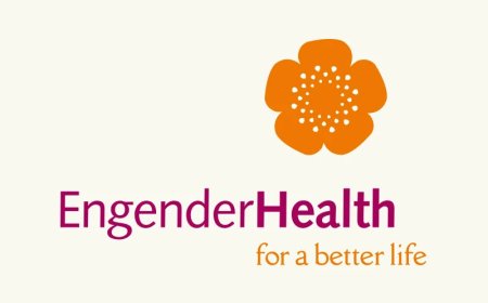 Knowledge Management Officer Job Vacancy at EngenderHealth