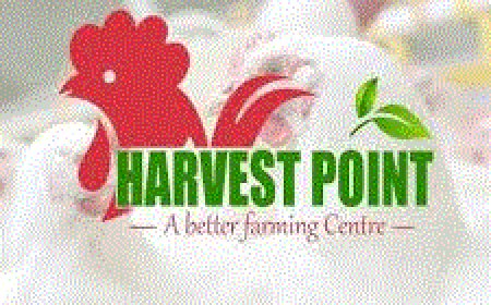 Senior Sales Officer Job Vacancy at Harvest Point