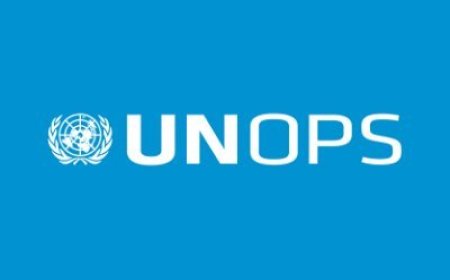 Save Civil Engineer at UNOPS