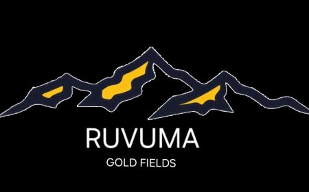 Chief Executive Officer (CEO) Job Opportunities at Ruvuma Gold Fields