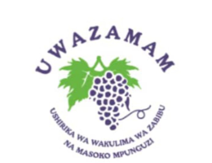 Project Officer Job Opportunity at UWAZAMAM