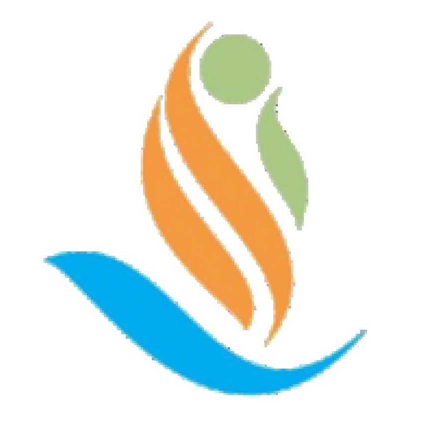 Program And Operations Professionals at Doris Mollel Foundation (DMF)