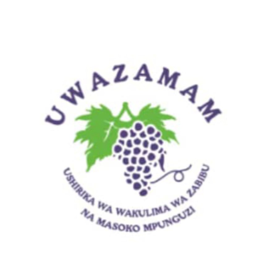 Project Officer Job Opportunity at UWAZAMAM