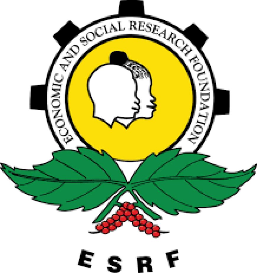 Communications Officer at Economic and Social Research Foundation (ESRF)