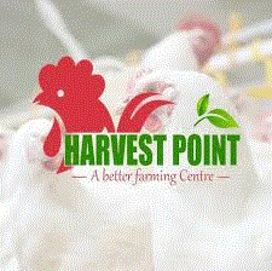 Senior Sales Officer Job Vacancy at Harvest Point