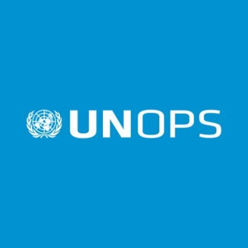 Save Civil Engineer at UNOPS
