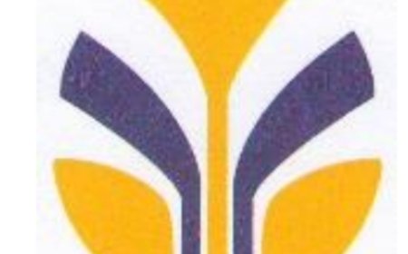 20 Job Vacances at Shamo Industries