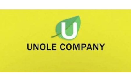 Part Time Job Data Entry (Student From UDSM or Ardhi ) at Unole Company